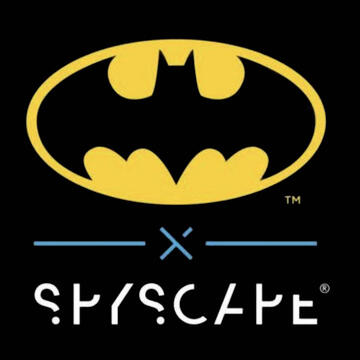 Batman x SPYSCAPE - Catwoman